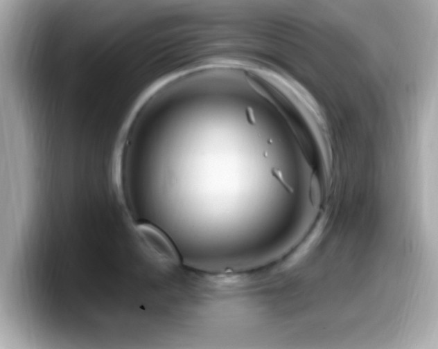 X0000099960862200805231340