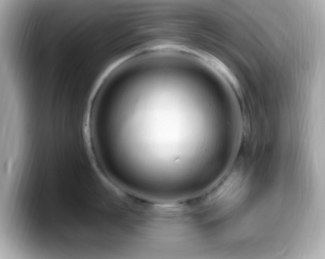 X0000099960863200805231340