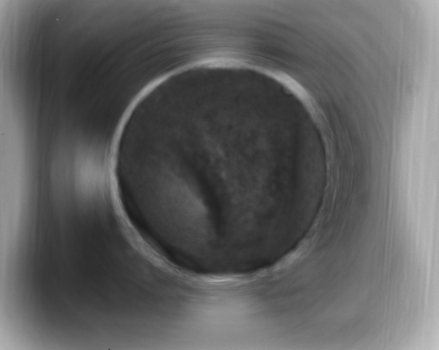 X0000099960864200805231340