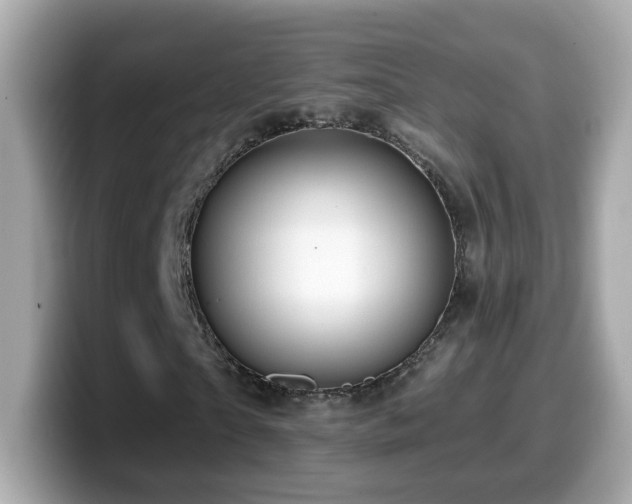 X0000099960865200805231339