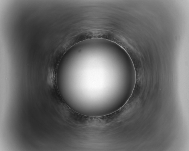 X0000099960866200805231339