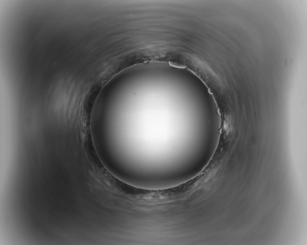 X0000099960867200805231339
