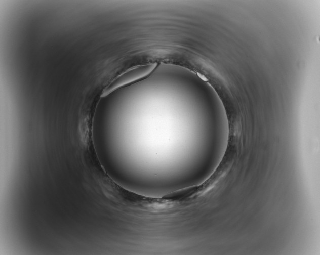 X0000099960868200805231339