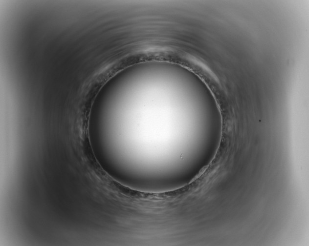 X0000099960869200805231339