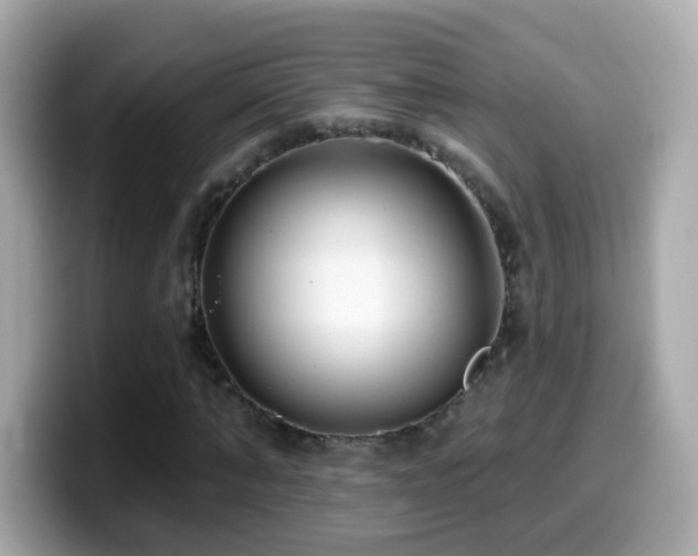 X0000099960870200805231339