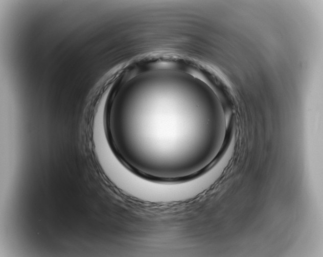 X0000099960872200805231339