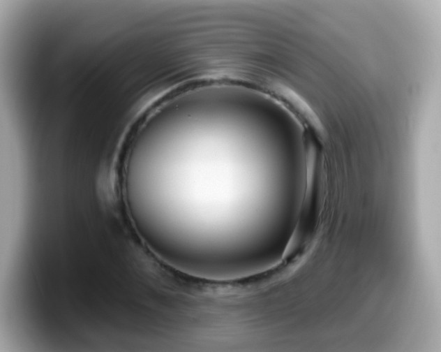 X0000099960876200805231339