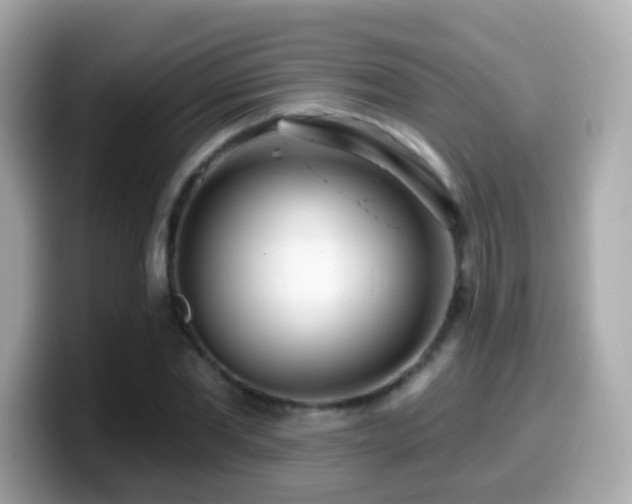 X0000099960877200805231339