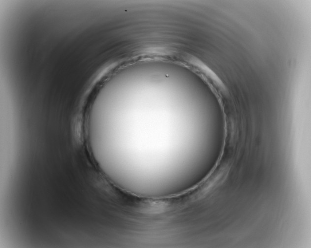 X0000099960878200805231339