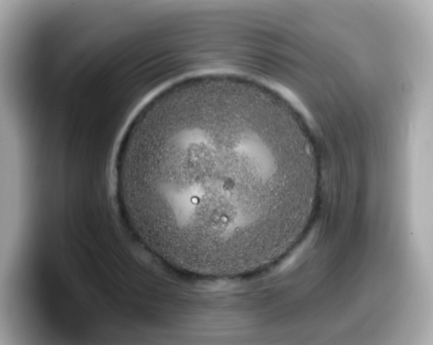X0000099960879200805231339