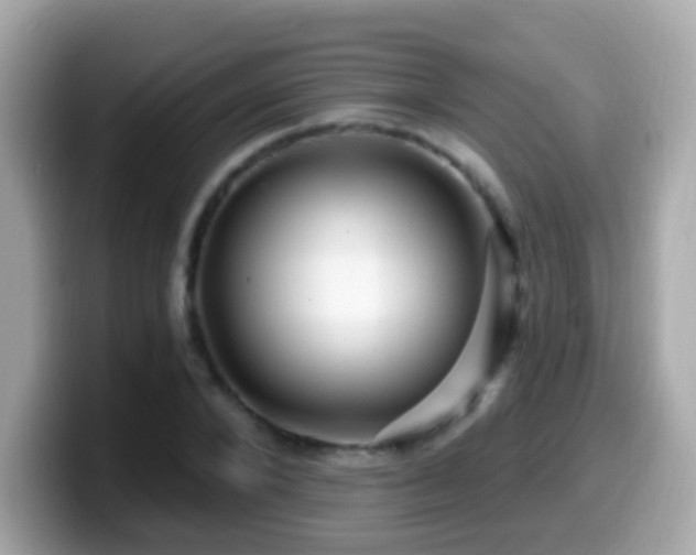 X0000099960880200805231339