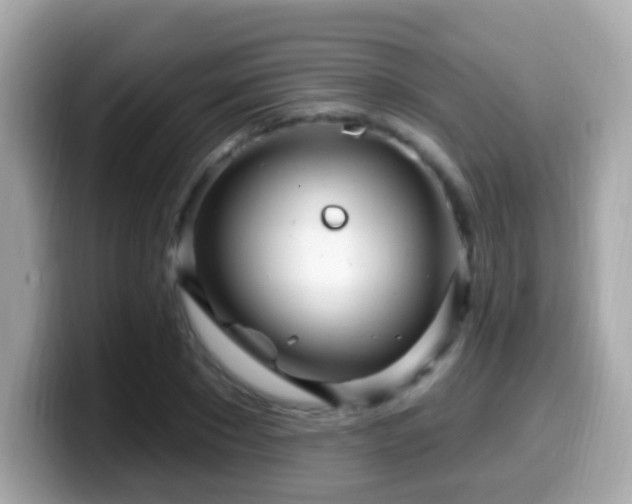 X0000099960881200805231339