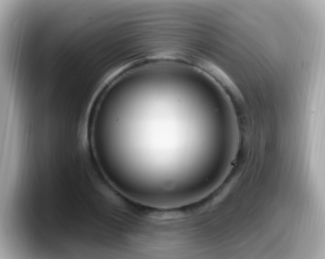 X0000099960884200805231339