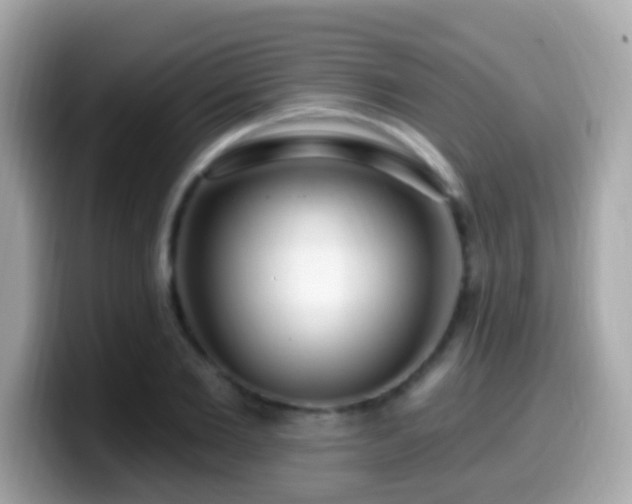 X0000099960885200805231339