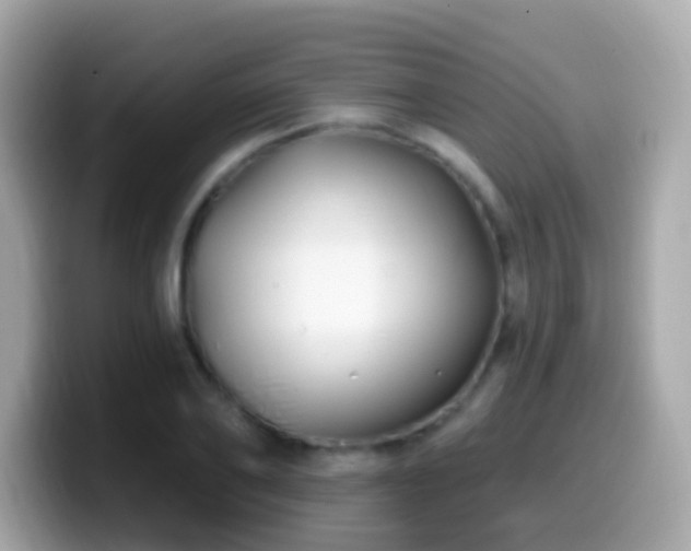 X0000099960886200805231339
