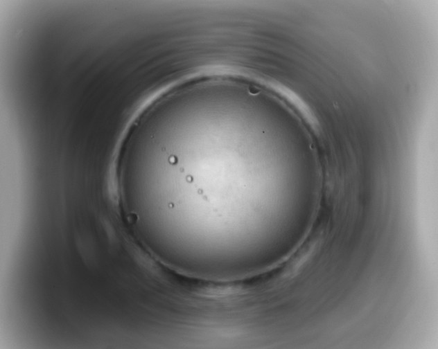 X0000099960887200805231339