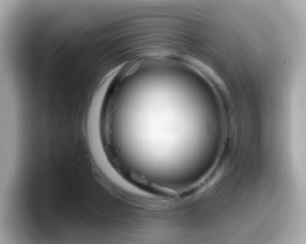 X0000099960889200805231339