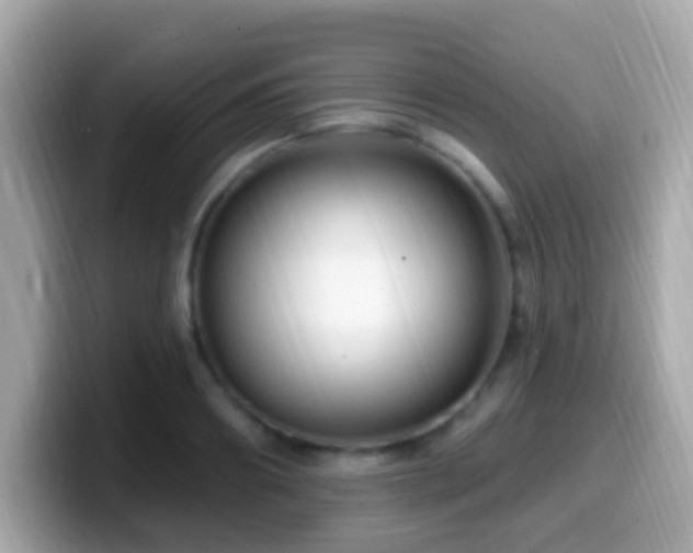 X0000099960890200805231339