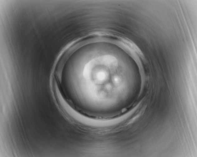 X0000099960893200805231339