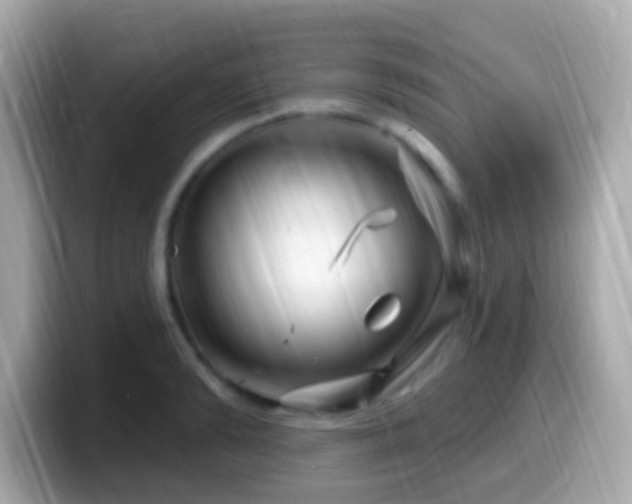 X0000099960894200805231339