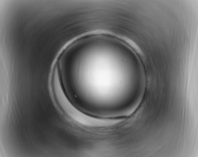 X0000099960895200805231339