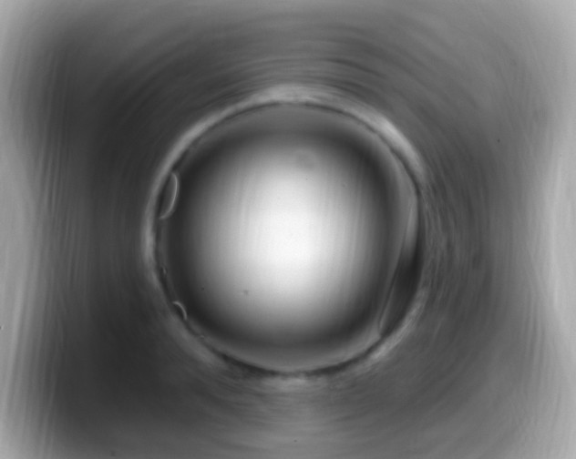 X0000099960896200805231339