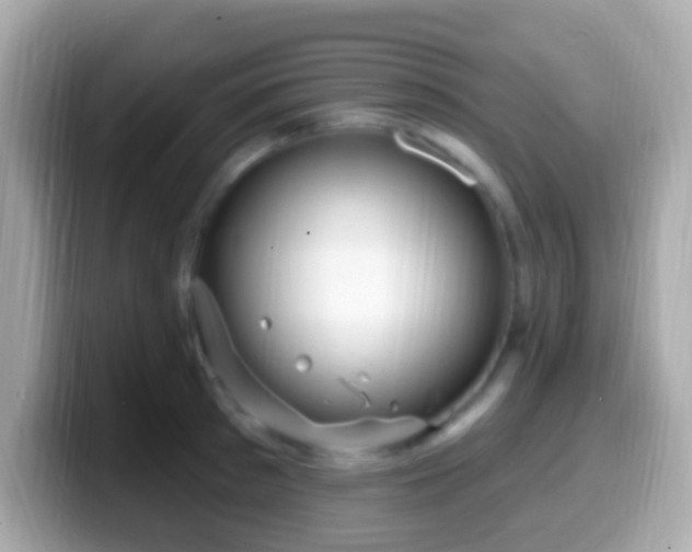 X0000099960897200805231339