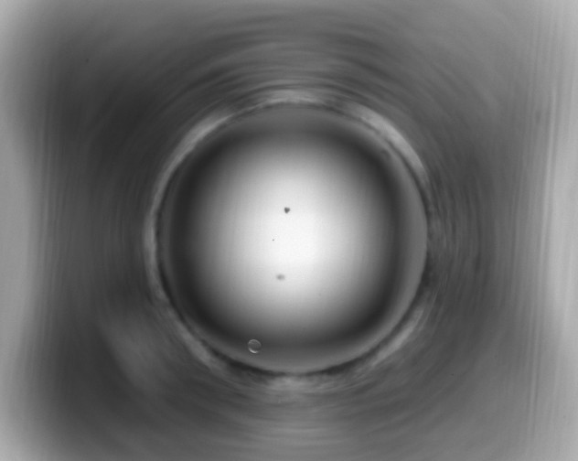 X0000099960898200805231339