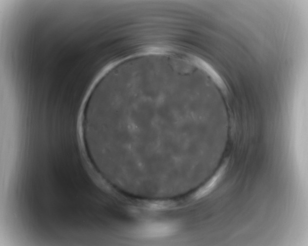 X0000099960899200805231339