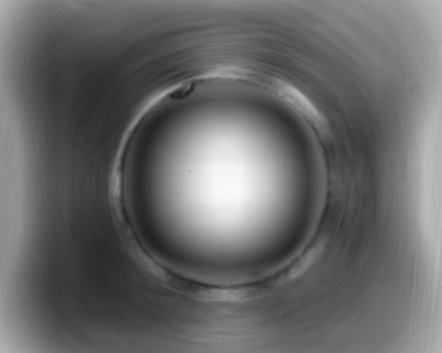 X0000099960900200805231339
