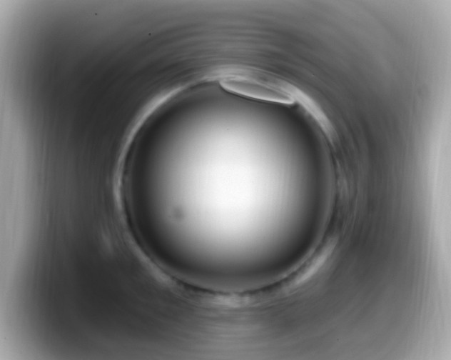 X0000099960901200805231339
