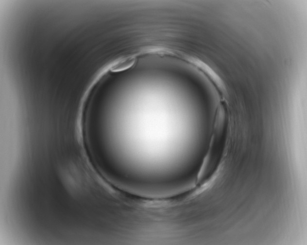 X0000099960902200805231339
