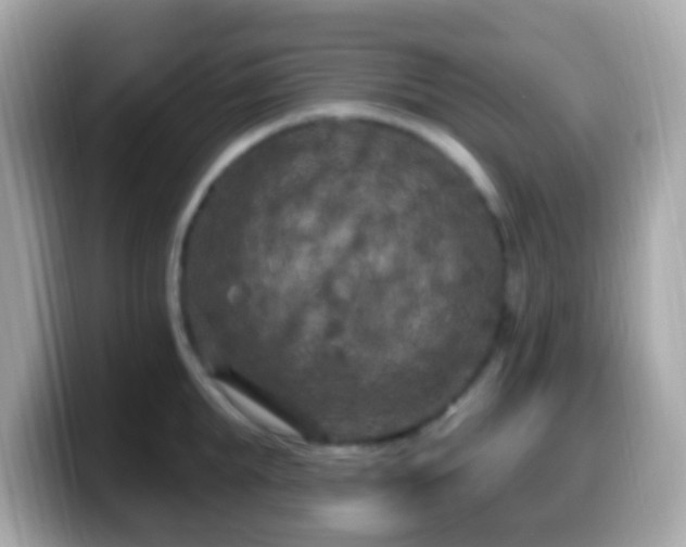 X0000099960903200805231339