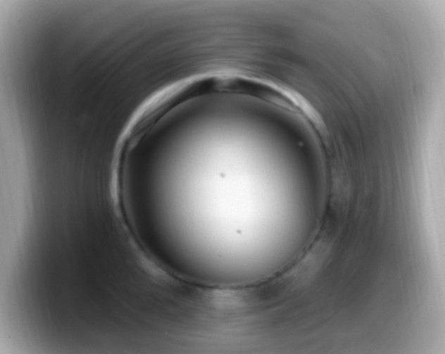 X0000099960904200805231339