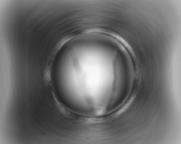 X0000099960905200805231339