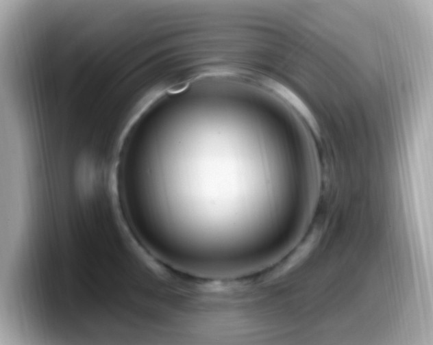 X0000099960906200805231339