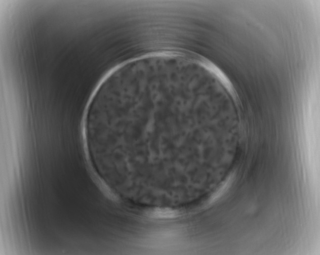 X0000099960907200805231339