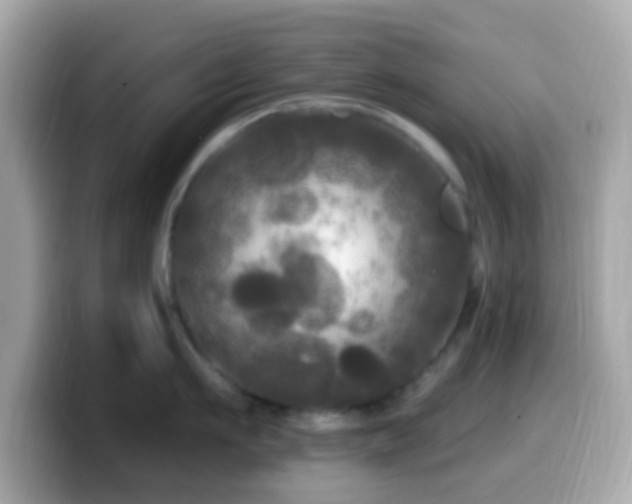 X0000099960911200805231339