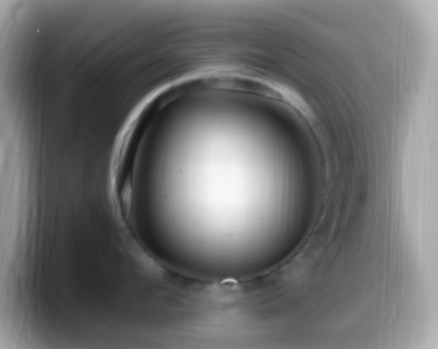 X0000099960912200805231339