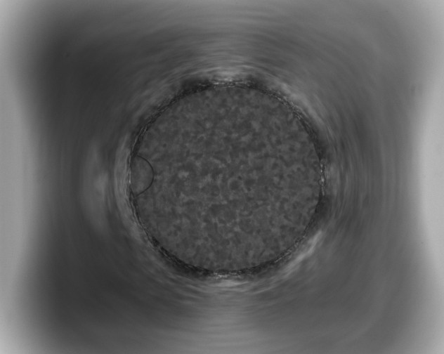 X0000099960913200805231338