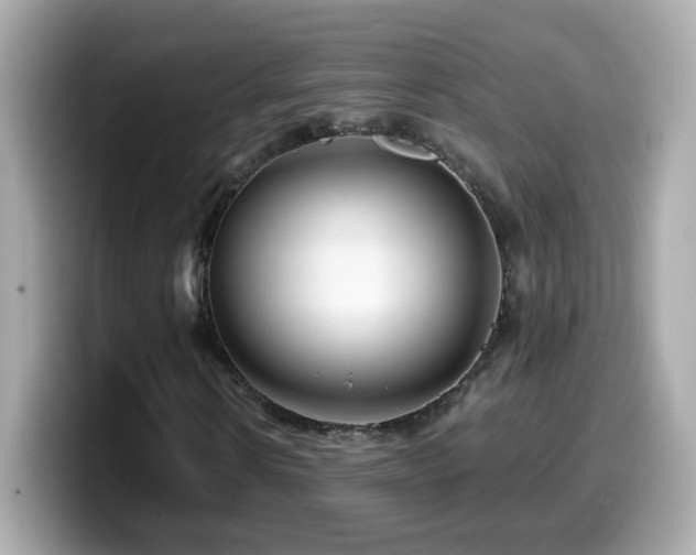 X0000099960914200805231338