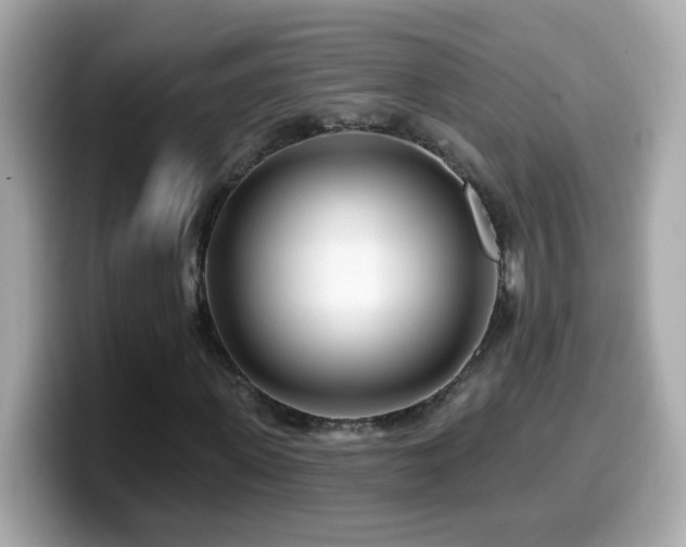 X0000099960915200805231338