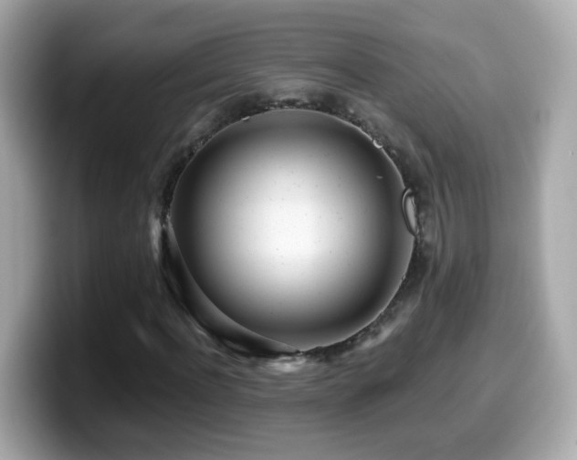 X0000099960916200805231338