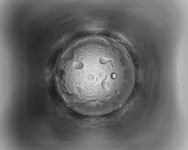 X0000099960917200805231338