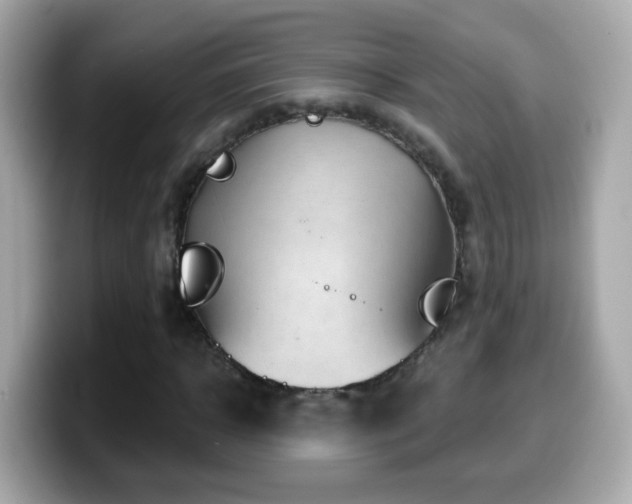 X0000099960918200805231338