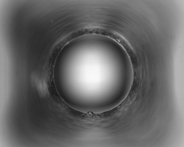 X0000099960919200805231338