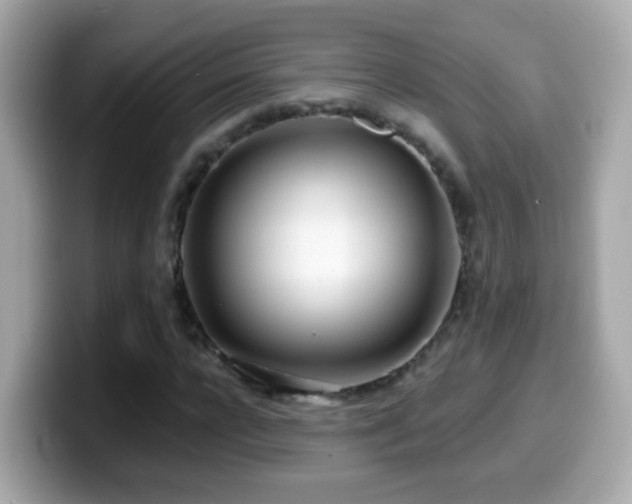 X0000099960920200805231338