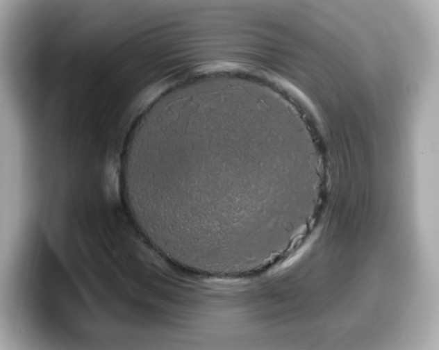 X0000099960921200805231338