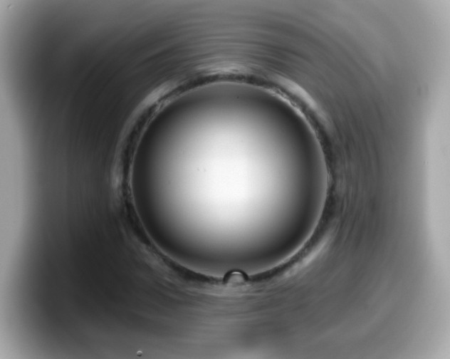 X0000099960922200805231338
