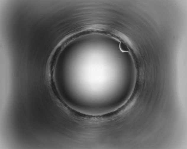 X0000099960923200805231338